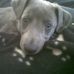 Bruce Howlett - Facebook