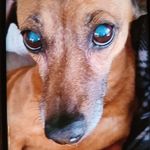 Bruce Huffman - @brucehuffman72 - Instagram