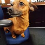Bruce Huffman - @bruce.huffman.731 - Instagram