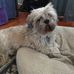 Bruce Huggins - Facebook