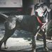 Bruce Hui - Facebook