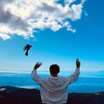 Bruce Hui - @brucehui_leroi - Instagram