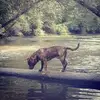 brucehumphrey670 - @brucehumphrey670 - TikTok