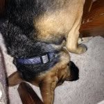 Bruce Hungate - @bahungate - Instagram