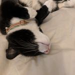 Bruce Hunter - @brucelittlehorse - Instagram