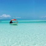 Bruce Hutton - @bruce_hutton - Instagram