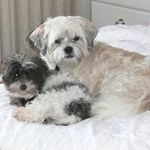 Bruce Hutton - @bruce.hutton.3 - Instagram