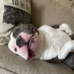 Bruce Jones - @i_be_bruce - Instagram