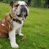 clarita.tl - @bruce.bei - TikTok