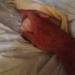 Bruce Ingalls - @bruceingalls - Instagram