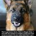Bruce Ingle - Facebook