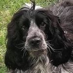 Bruce Ingle - @inglebruce - Instagram