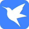 brucedinglee - @brucedinglee - TikTok