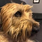 Bruce Inglis - @bruce.inglis.10 - Instagram