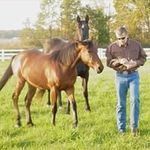 Bruce Inman - @bruce.inman.338 - Instagram