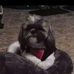 Bruce Inman - @inmanb430 - Instagram