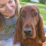 Bruce - @bruce_the_irish_setter - Instagram