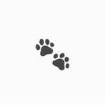 Bruce - @bruce_is_on_the_loosee - Instagram
