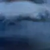 bruceison00 - @bruceison00 - TikTok