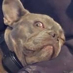 Bruce Iverson - @bruce.iverson.50 - Instagram