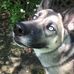 Bruce Iverson - Facebook