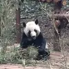 bruceLives - @brucelee935 - TikTok