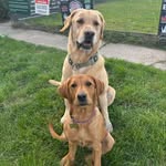 ♡ Bruce & Ivy ♡ - @bruce_and_ivy_ - Instagram