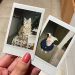 Bruce, Ivy, & Lincoln - @thebenitezbunch - Instagram