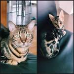 Bruce Norah et Ivy - @bruce_norah_ivy - Instagram