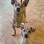 IVY & BRUCE - @ivy_y_bruce - Instagram
