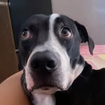 Bruce negão - @bruce_jack_junior - Instagram