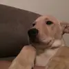 bruce.jack - @bruciecakes - TikTok