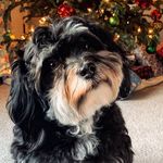 Bruce Jacobs - @rbjacobs83 - Instagram
