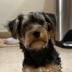 Bruce Jäger - @mightybruce16 - Instagram