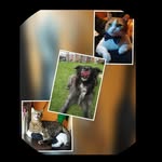Bruce Jäger Molly - @12huellitasdamor - Instagram
