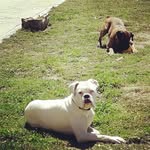 Bruce_Jara_Boxer - @bruce_jara_bo - Instagram
