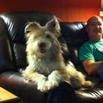 Bruce Jolley - @brucejolley - Instagram