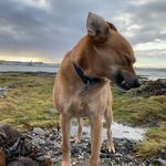 Bruce Joseph McClements - @brucegottacamera - Instagram