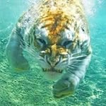 Bruce Kang - @bruce.kang.14 - Instagram