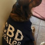 Bruce Kay - @organiccbdsolutions - Instagram