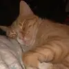 brucekay4 - @brucekay4 - TikTok