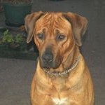 Bruce Keating - @bruce.keating - Instagram