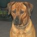 Bruce Keating - Facebook