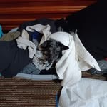 Bruce Keating - @keating5660 - Instagram