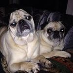 Bruce Kern - @brucekern45 - Instagram