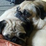 Bruce Kern - @brucekern4 - Instagram