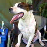 Bruce Kerney - @brucekerney - Instagram