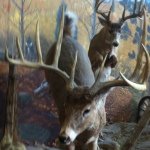 Bruce Kimbrell - @brucekimbrell3 - Instagram