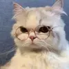 bruceking59 - @bruceking59 - TikTok