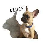 hi! my name is Bruce - @bruce_king__ - Instagram